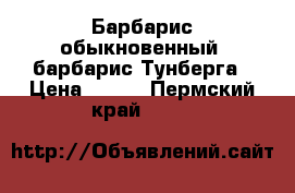 Барбарис обыкновенный, барбарис Тунберга › Цена ­ 120 - Пермский край  »    